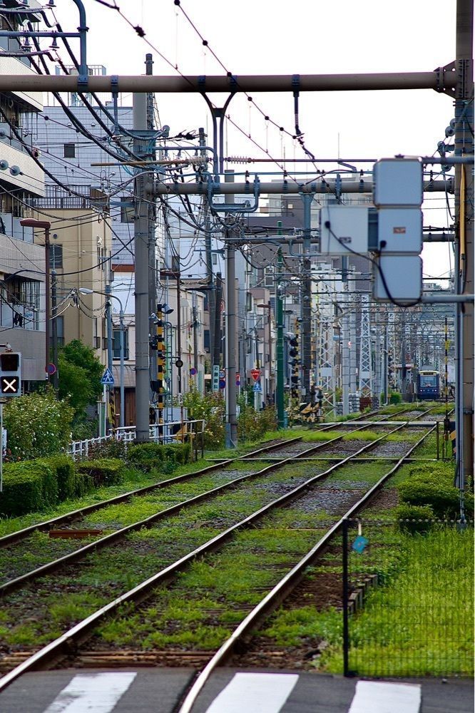 junkunさんが投稿した東京さくらトラム（都電荒川線）鬼子母神前に関する口コミの画像