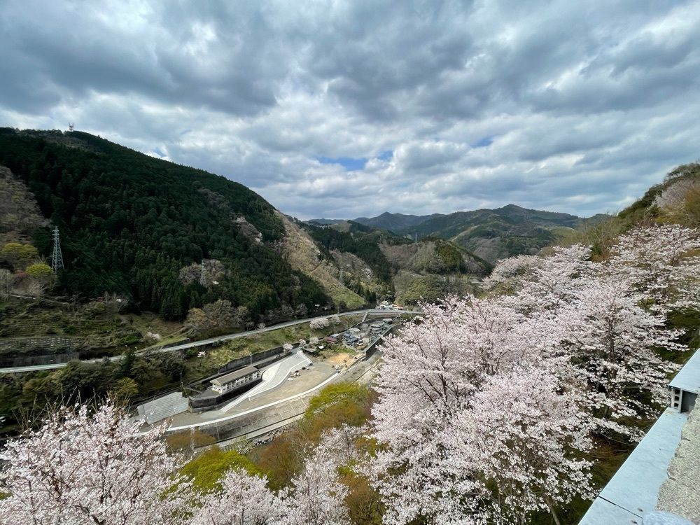 メリーさんが投稿した鹿野川ダム展望台に関する口コミの画像