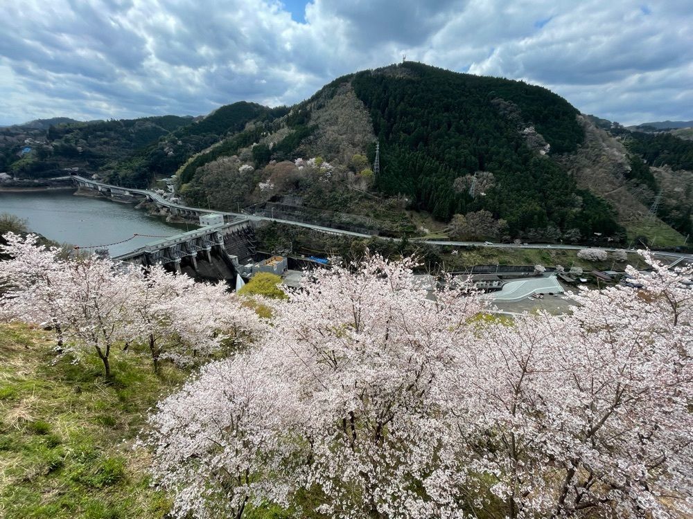 メリーさんが投稿した鹿野川ダム展望台に関する口コミの画像