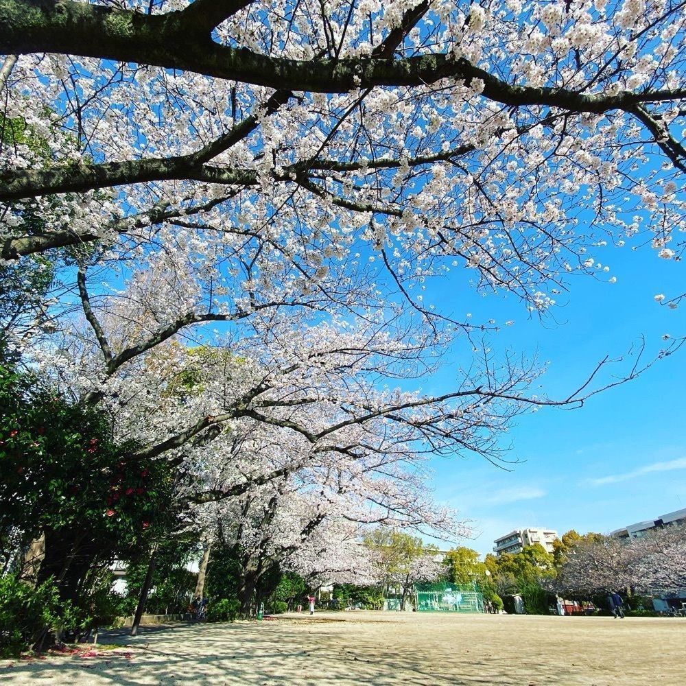 こまささんが投稿した小松川境川親水公園に関する口コミの画像