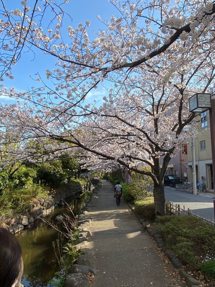 こまささんが投稿した小松川境川親水公園に関する口コミの画像