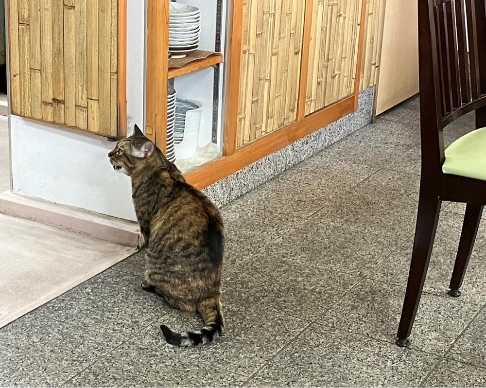 natural_city_d2e6さんが投稿した食堂ひのでに関する口コミの画像