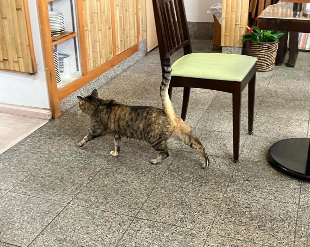 natural_city_d2e6さんが投稿した食堂ひのでに関する口コミの画像