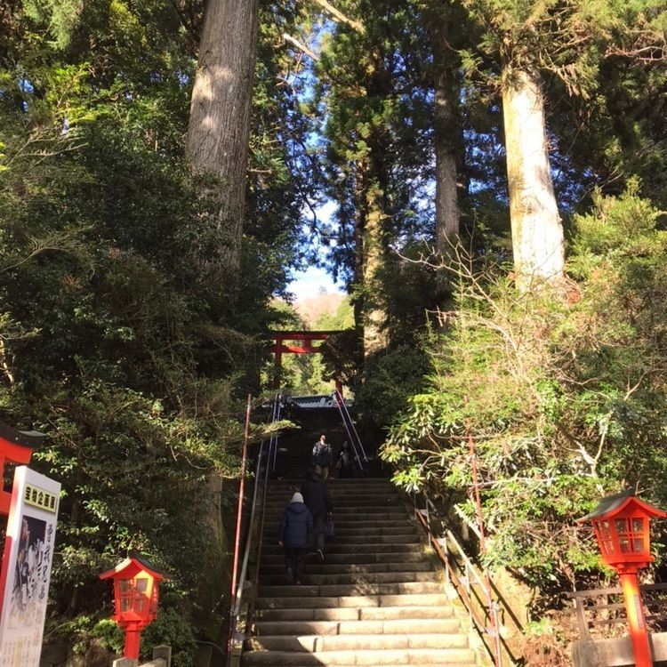 #箱根 #箱根神社 #芦ノ湖