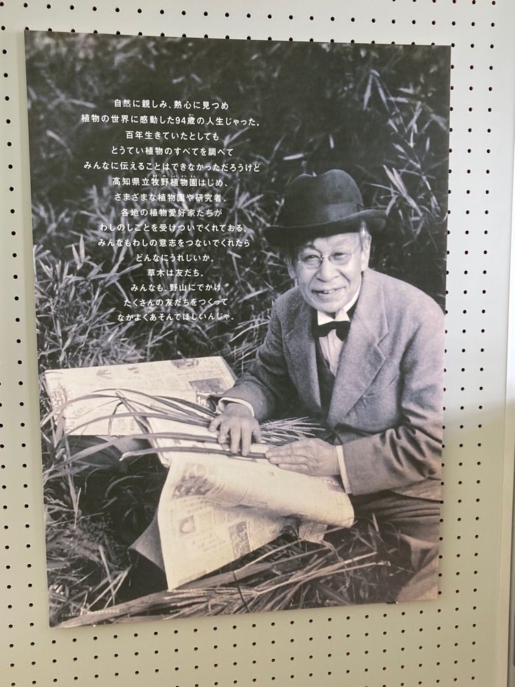 Howl Monさんが投稿したふじのくに地球環境史ミュージアムに関する口コミの画像