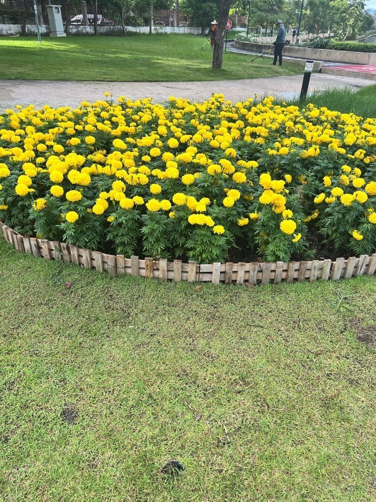 825travelさんが投稿したBenchakiti Forest Parkに関する口コミの画像