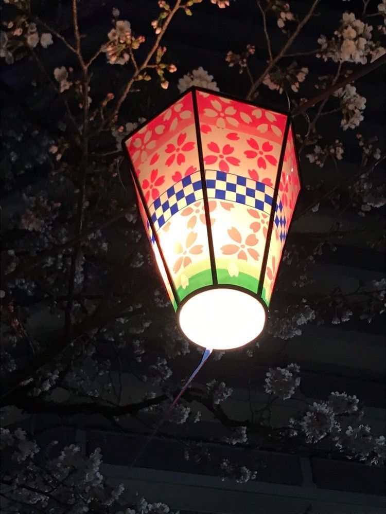 delicious_museum_7212の画像