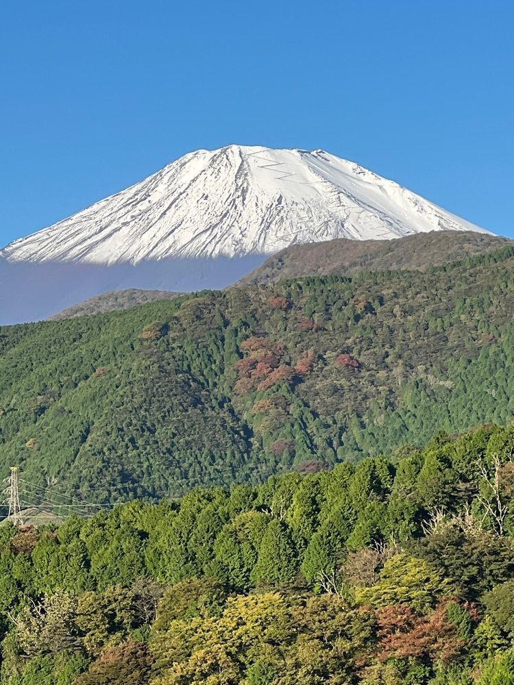 ビンカさんが投稿した富士グリーンヒルゴルフコースに関する口コミの画像