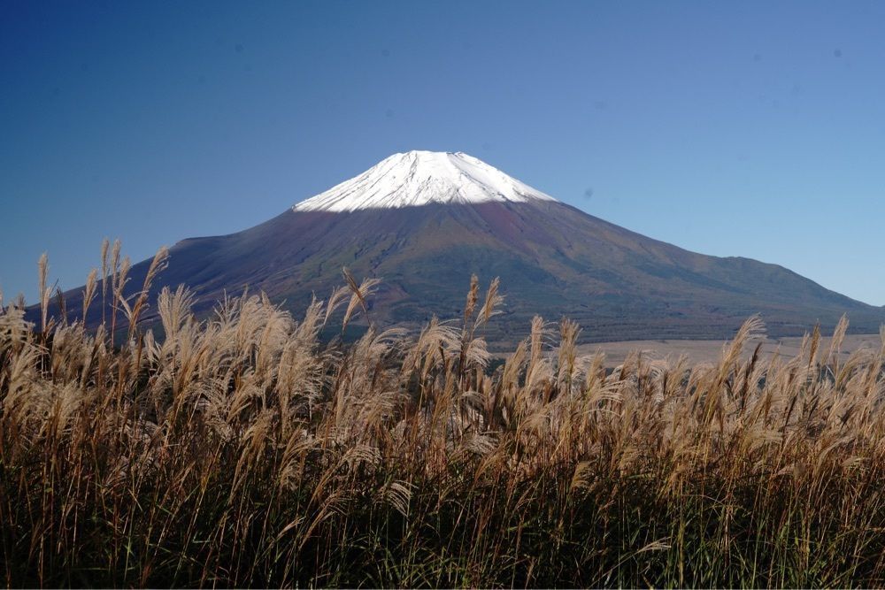 ビンカさんが投稿した富士グリーンヒルゴルフコースに関する口コミの画像