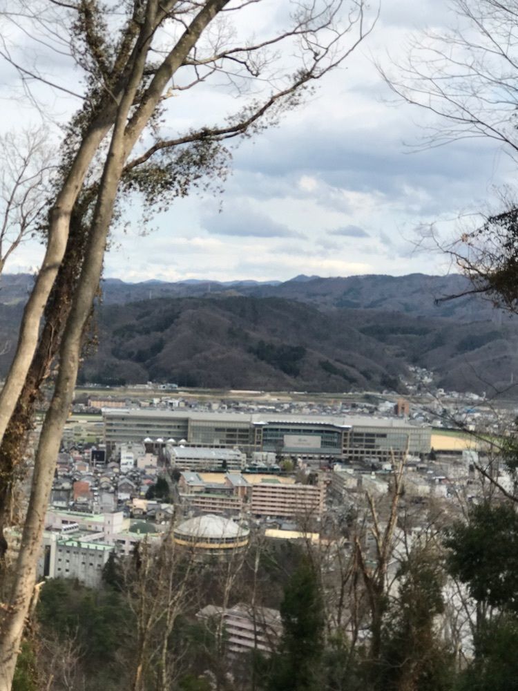 猫なぎ。さんが投稿した福島市信夫山に関する口コミの画像