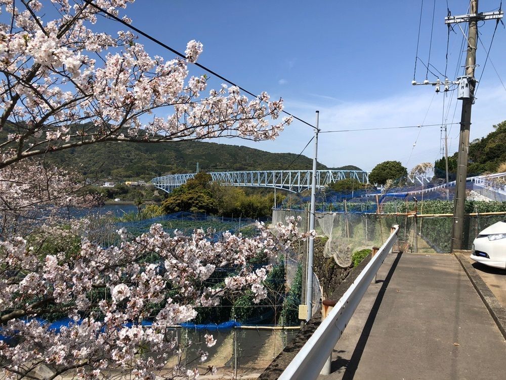 一人旅_mall_0723さんが投稿した長島大陸市場食堂に関する口コミの画像