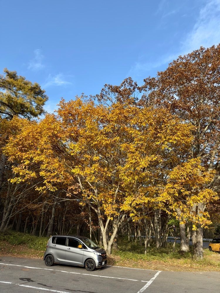 からっ風②さんが投稿した赤沼茶屋（あかぬまぢゃや）に関する口コミの画像