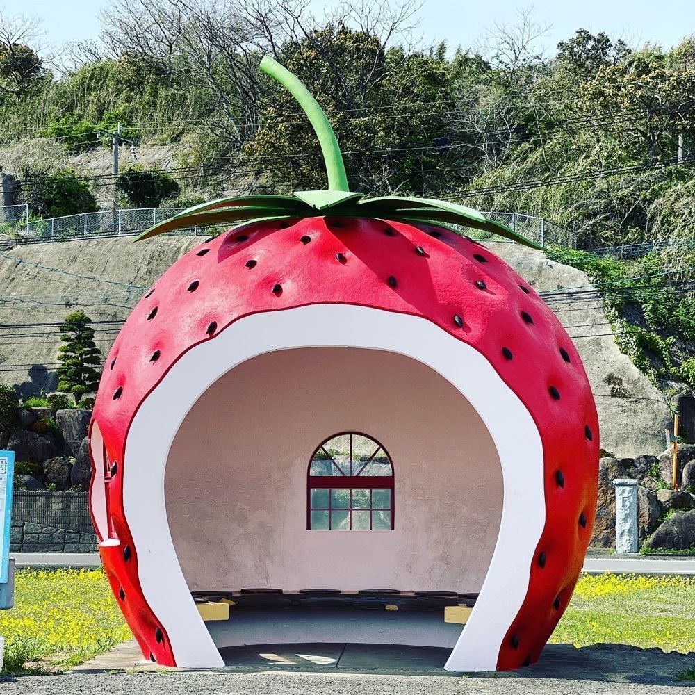 surumeの画像
