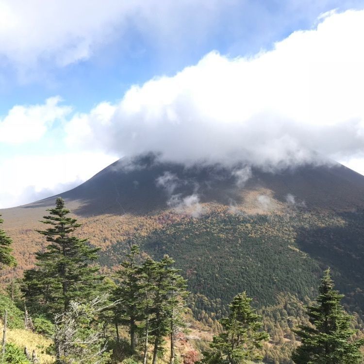 tetsuyaさんが投稿した浅間山麓国際自然学校に関する口コミの画像