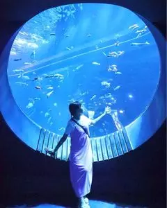 DMMかりゆし水族館
