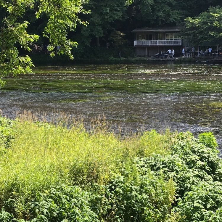 tetsuyaさんが投稿した修善寺自然公園に関する口コミの画像