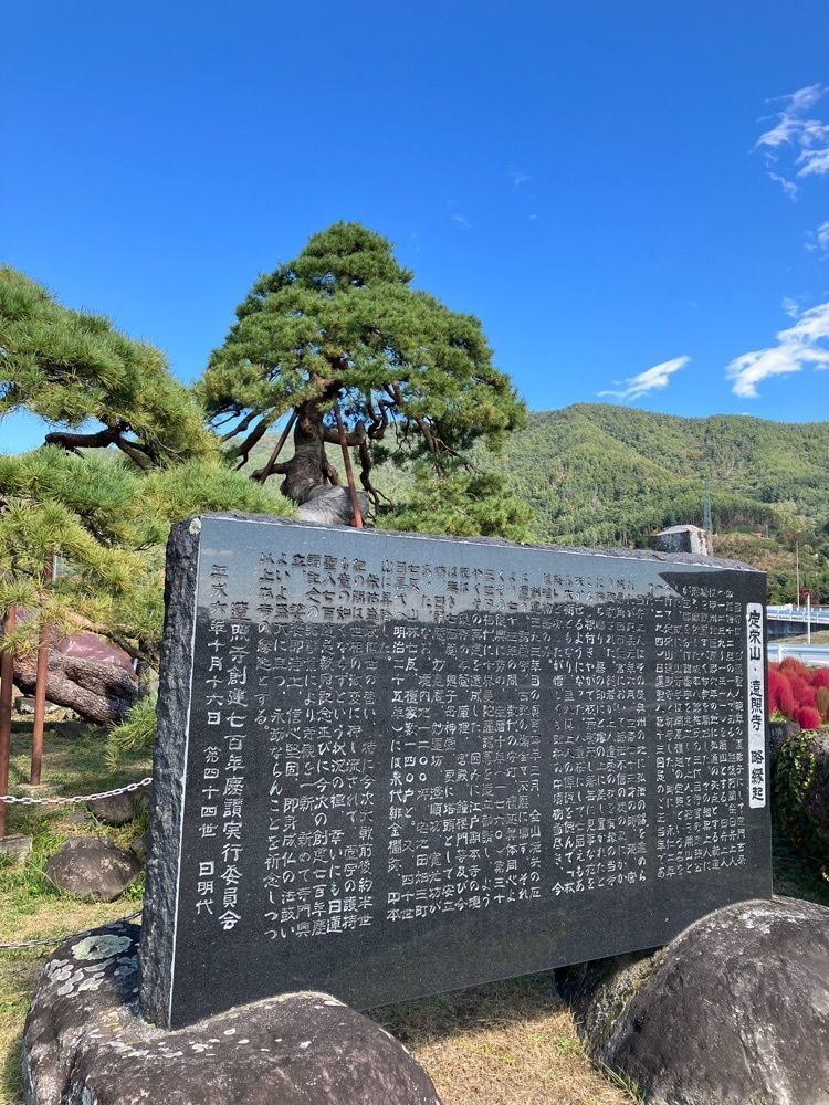 Nさんが投稿した遠照寺のアカ松に関する口コミの画像
