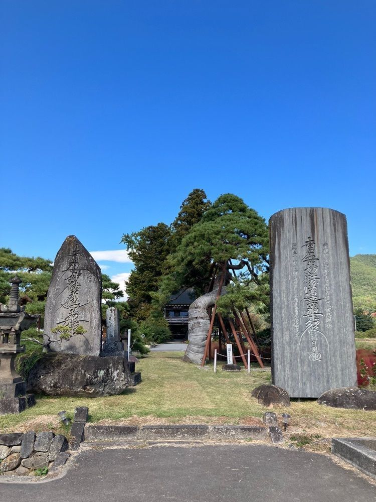 Nさんが投稿した遠照寺のアカ松に関する口コミの画像