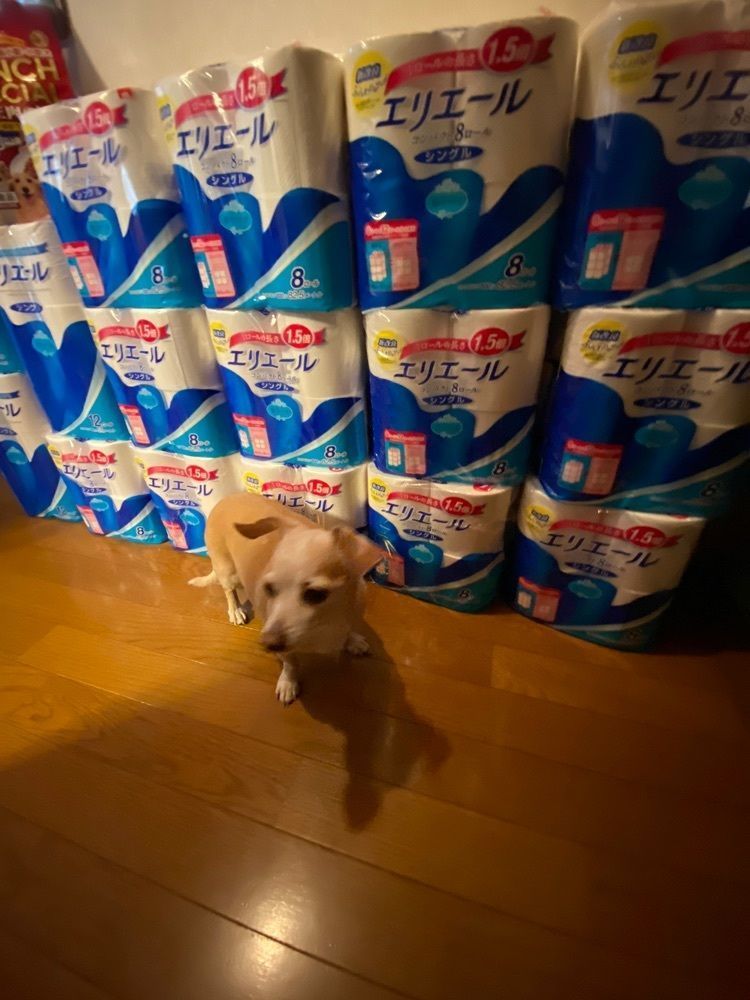 ð€ã¢ã€ãã³ãŸãŸð€ã®ç»å