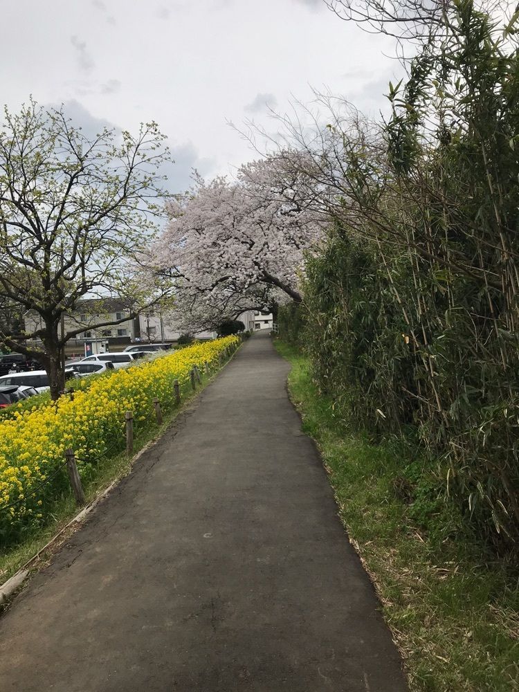 いくさんが投稿した神奈川県立相模三川公園に関する口コミの画像