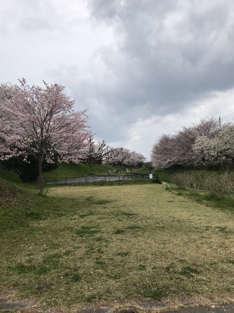 いくさんが投稿した神奈川県立相模三川公園に関する口コミの画像
