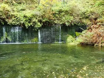 白糸の滝