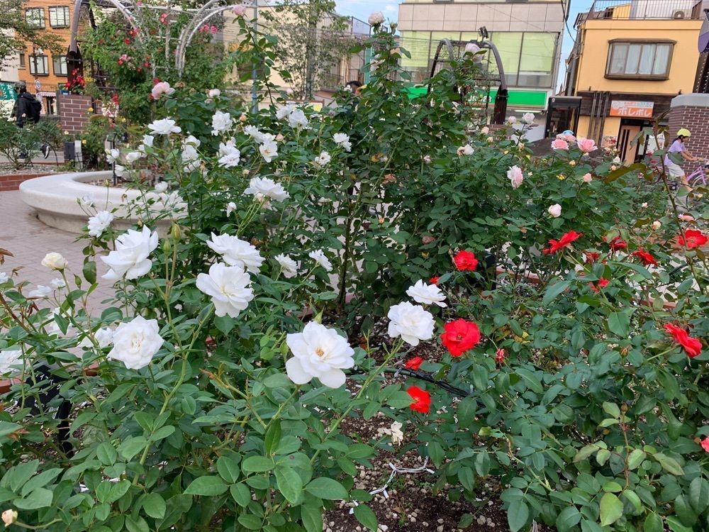 junkunさんが投稿したあらかわ遊園に関する口コミの画像
