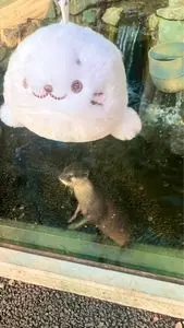 県営さいたま水族館