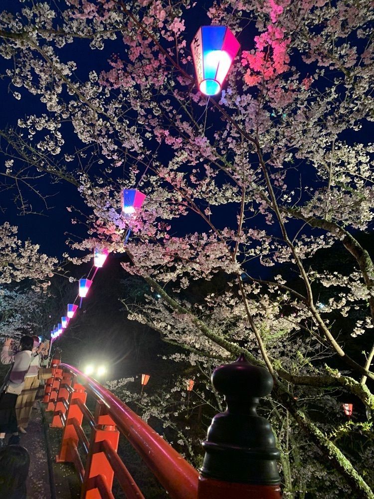 yukincoさんが投稿した小見川城山公園の桜・ツツジに関する口コミの画像