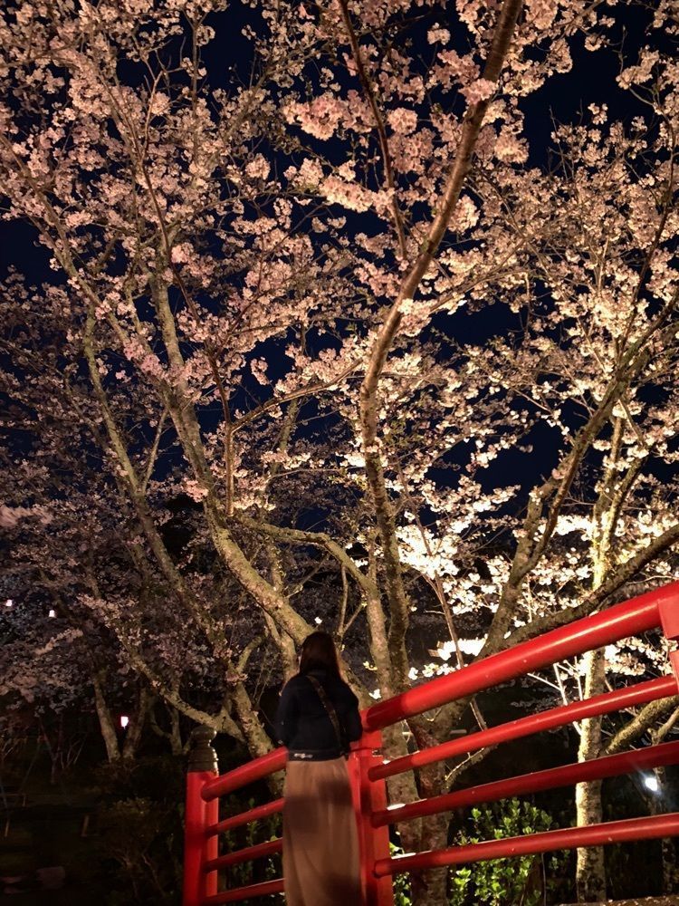 yukincoさんが投稿した小見川城山公園の桜・ツツジに関する口コミの画像