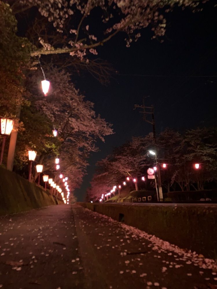 yukincoさんが投稿した小見川城山公園の桜・ツツジに関する口コミの画像