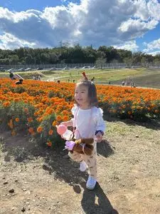 マリーゴールドの丘公園