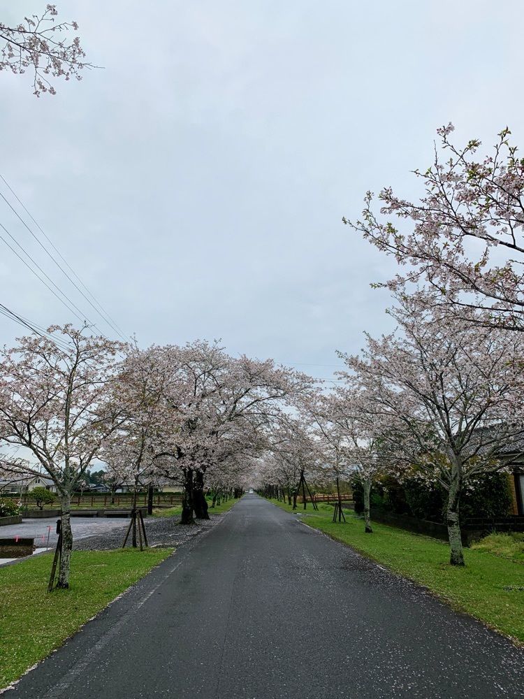 formal_cafeteria_8688さんが投稿した母智丘関之尾公園に関する口コミの画像