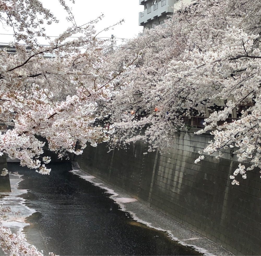 chiekoさんが投稿したストリーマー・コーヒー・カンパニー 中目黒（STREAMER COFFEE COMPANY）に関する口コミの画像