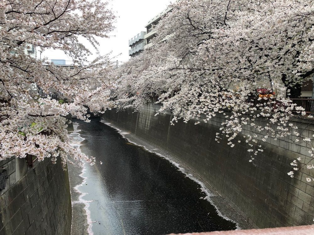 chiekoさんが投稿したストリーマー・コーヒー・カンパニー 中目黒（STREAMER COFFEE COMPANY）に関する口コミの画像