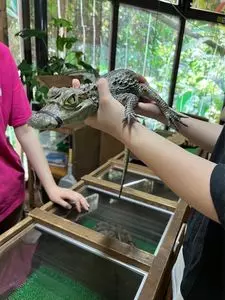 体感型動物園『iZoo』