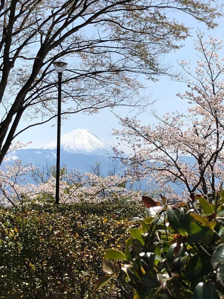 Nさんが投稿した敷島総合公園に関する口コミの画像