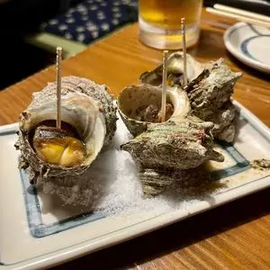 力丸 炉ばた焼 たぬき茶屋