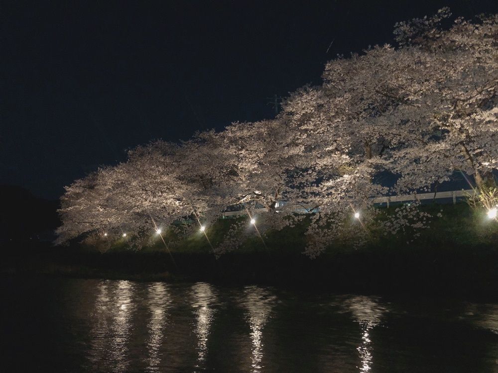 mimiさんが投稿した美祢市に関する口コミの画像