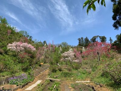 豊岡国際カントリークラブ 1枚目