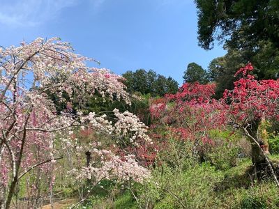 豊岡国際カントリークラブ 2枚目
