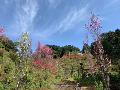 豊岡国際カントリークラブ 3枚目