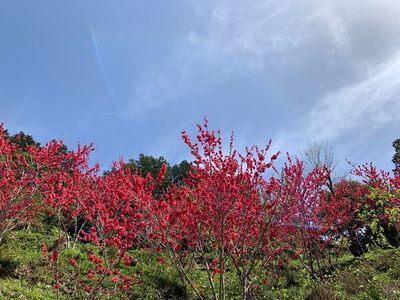 豊岡国際カントリークラブ 5枚目