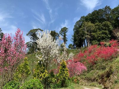 豊岡国際カントリークラブ 6枚目