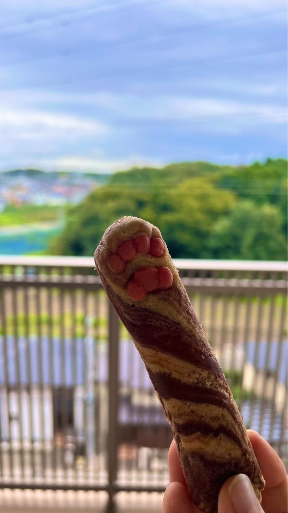 miiさんが投稿したキヤッセ羽生（キヤッセハニュウ）に関する口コミの画像