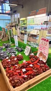 キヤッセ羽生（キヤッセハニュウ）