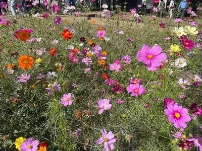 あけぼの山農業公園 売店