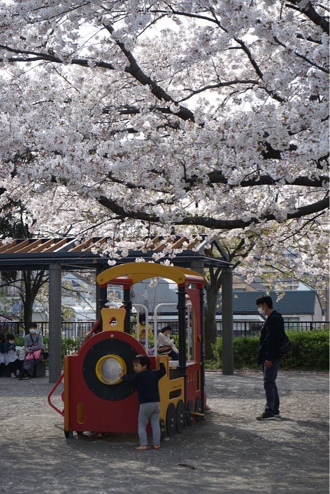 merryさんが投稿した掃部山公園に関する口コミの画像