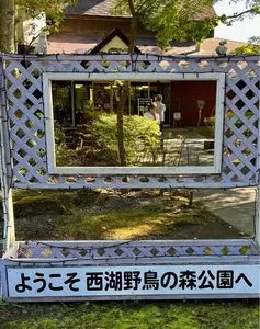 西湖野鳥の森公園