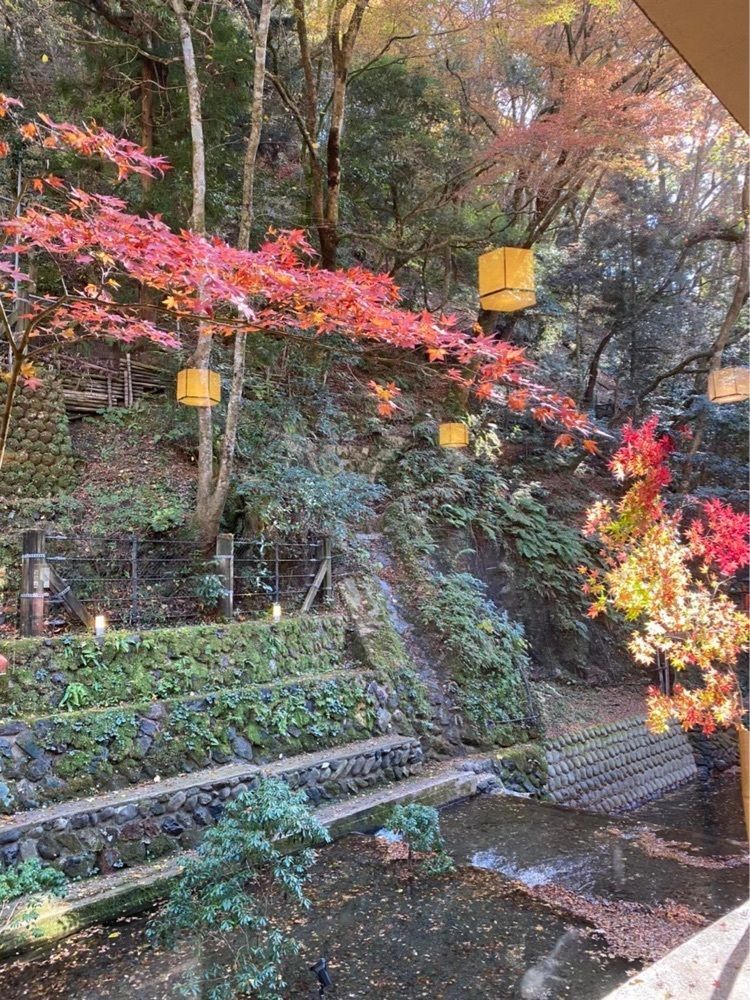 nico☺︎さんが投稿した貴船喜らく（きふねきらく）に関する口コミの画像